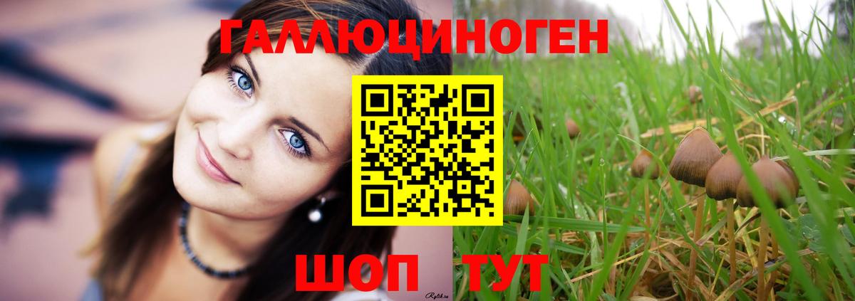 Карачаевск  Галлюциногенные грибы Magic Shrooms  наркота  Вход с VPN 